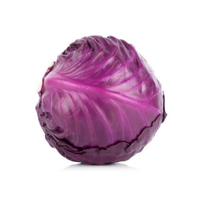 Picture of Red cabbage Holland